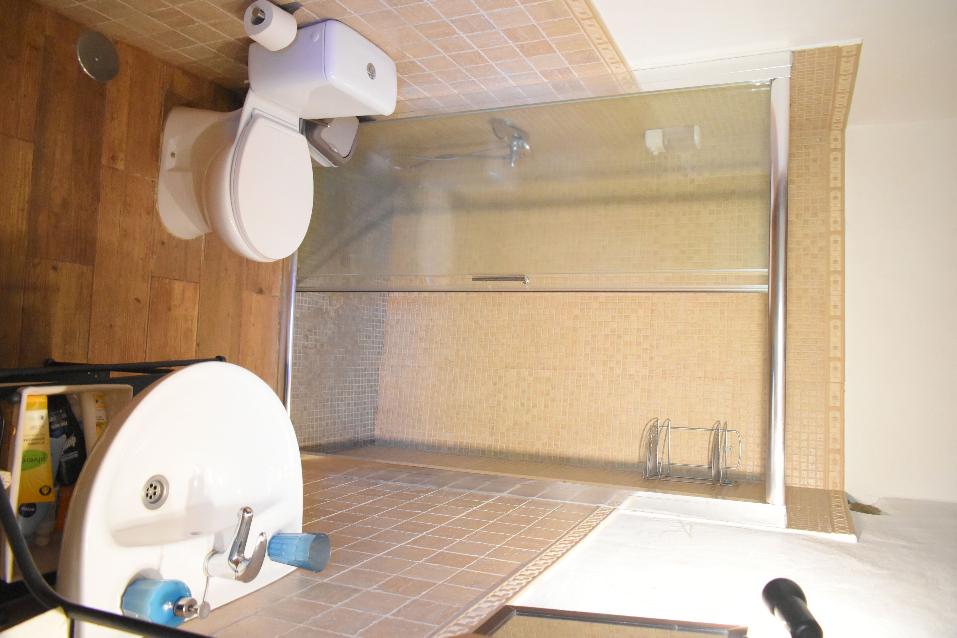 Une salle de bain avec douche, toilettes et lavabo.