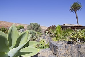 Detalle del exterior