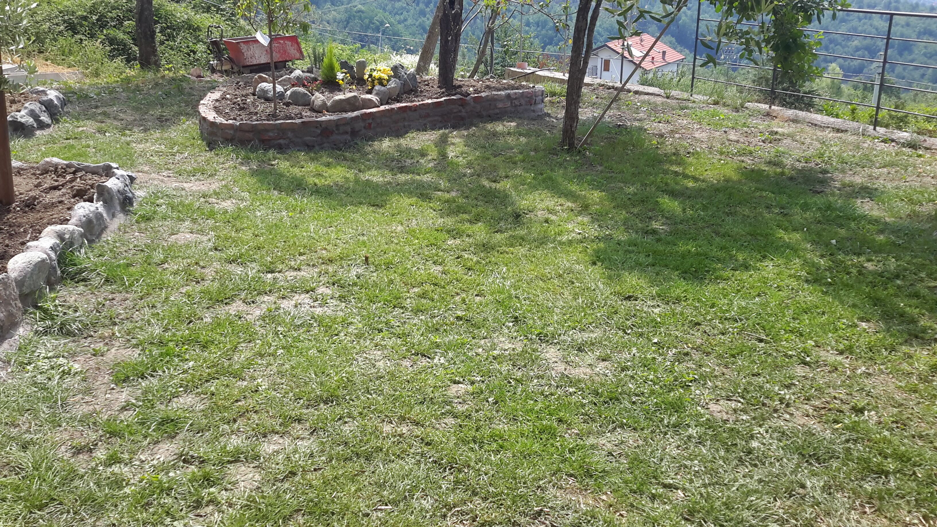A grassy area with a stone border and a small garden bed with flowers.