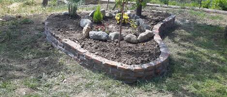 A garden bed with a brick border, various plants, and rocks.