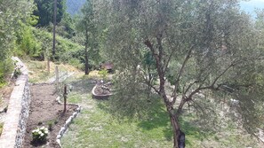 Property grounds - RELAXATION HOUSE. IN THE COUNTRYSIDE NEAR THE 5 TERRE AND 80 KM FROM THE GENOA AQUARIUM (La Spezia)