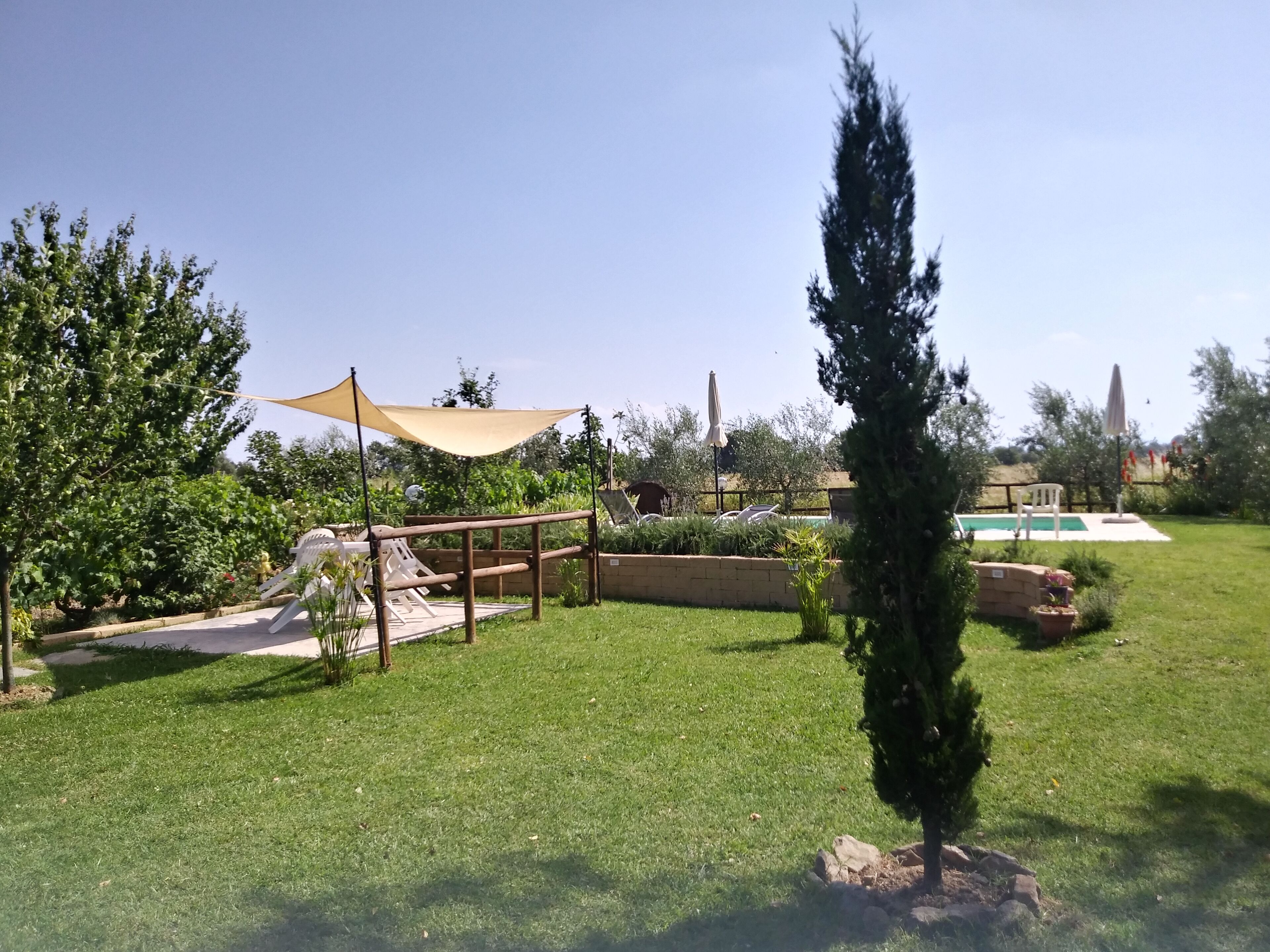 A well-maintained garden with a pool, outdoor furniture, and a tall tree.