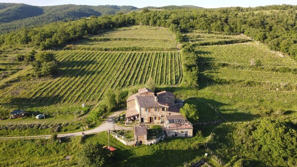 Uma propriedade rural com vinhedos em terraços, edifícios de pedra e um caminho sinuoso.