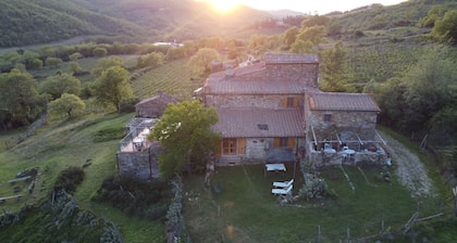 Ancient house in Chianti Hills with private lake and garden