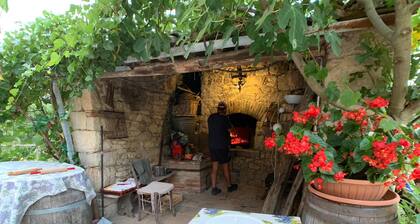 Ancient house in Chianti Hills with private lake and garden