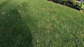 Un sentier bordé d’herbe mène à une rambarde en bois qui surplombe une étendue d’eau.