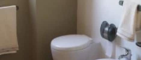 Combined shower/bathtub, hair dryer, bidet, towels