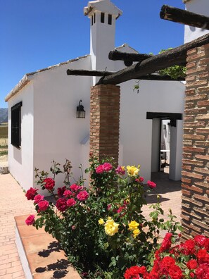 Details aan de buitenkant