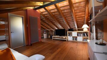 Smart TV, caminetto, lettore DVD, libri