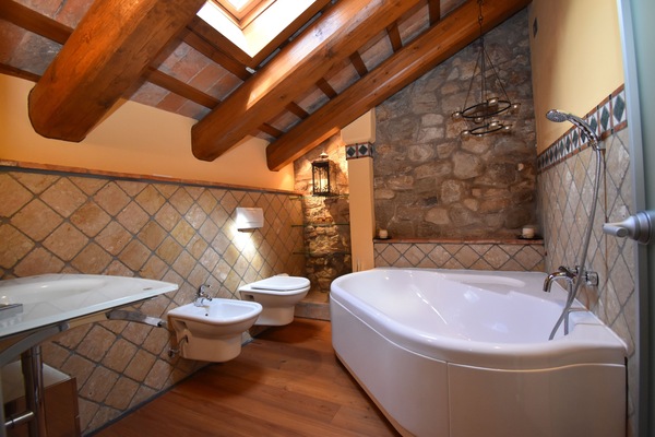Combined shower/tub, hair dryer, bidet, towels