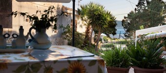 The House between Sea and Nature 