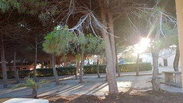 Property grounds