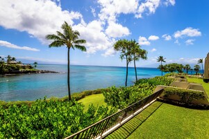 Un resort con vista al océano, palmeras y un césped bien cuidado.