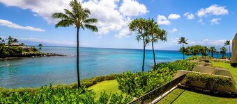 Napili Point C-12 - 2Br Condo