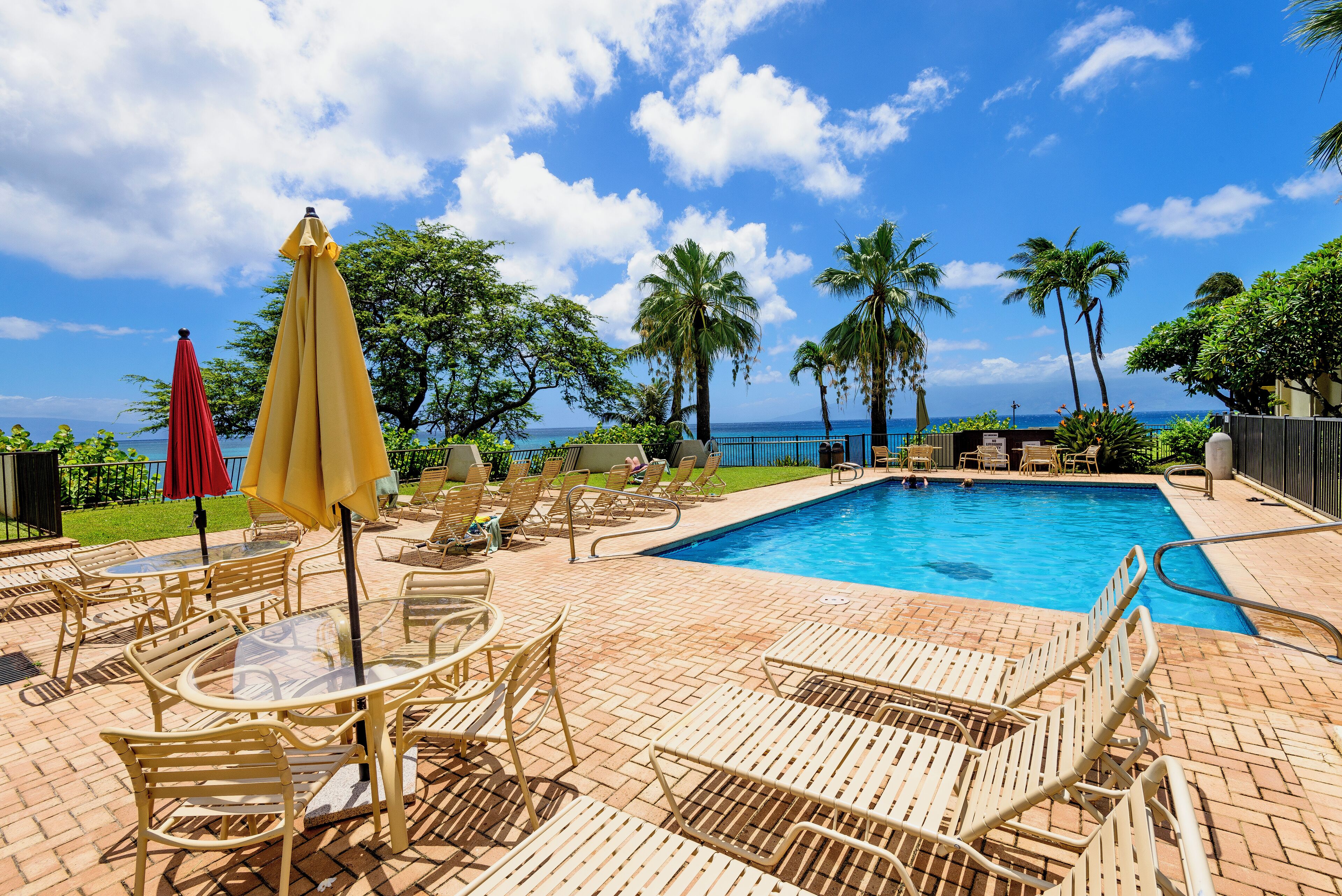 Un espace piscine agrémenté de chaises longues et de parasols, entouré de palmiers et offrant une vue sur l’océan.