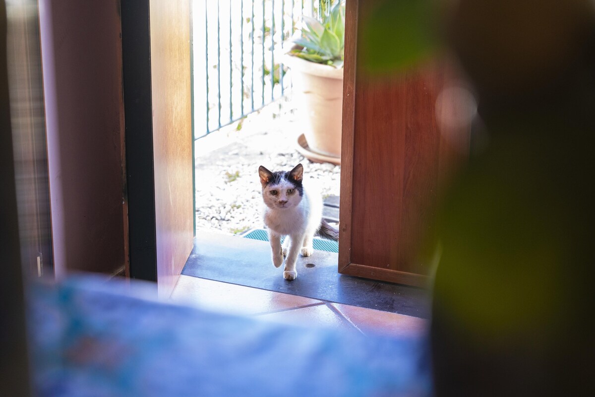 Image de profil de l’hôte