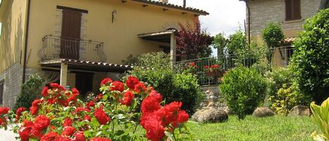 Áreas de la propiedad