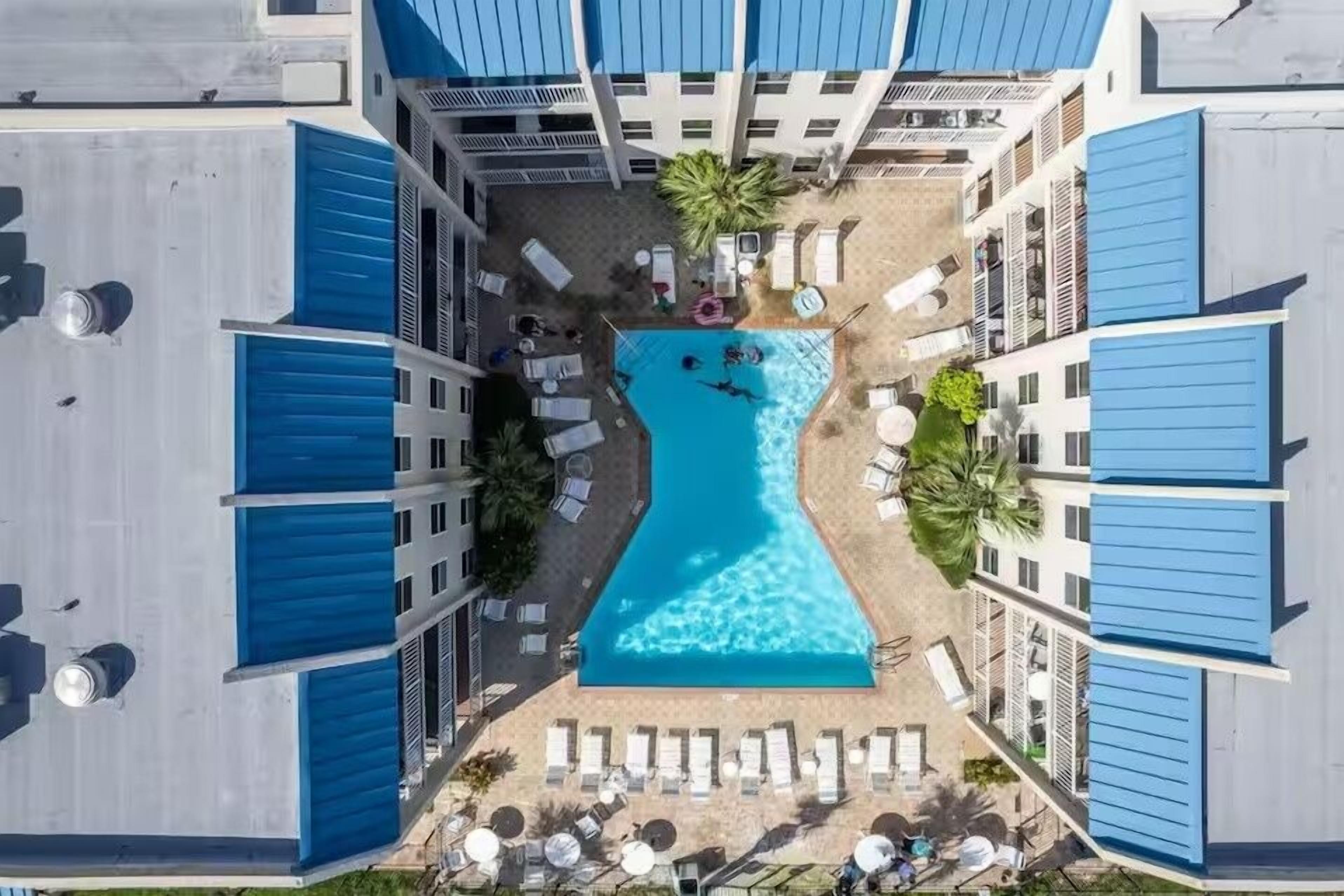 A rooftop pool surrounded by blue awnings and white walls, with lounge chairs and a palm tree.