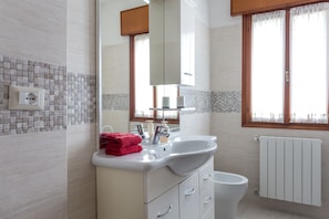 Shower, hair dryer, bidet, towels