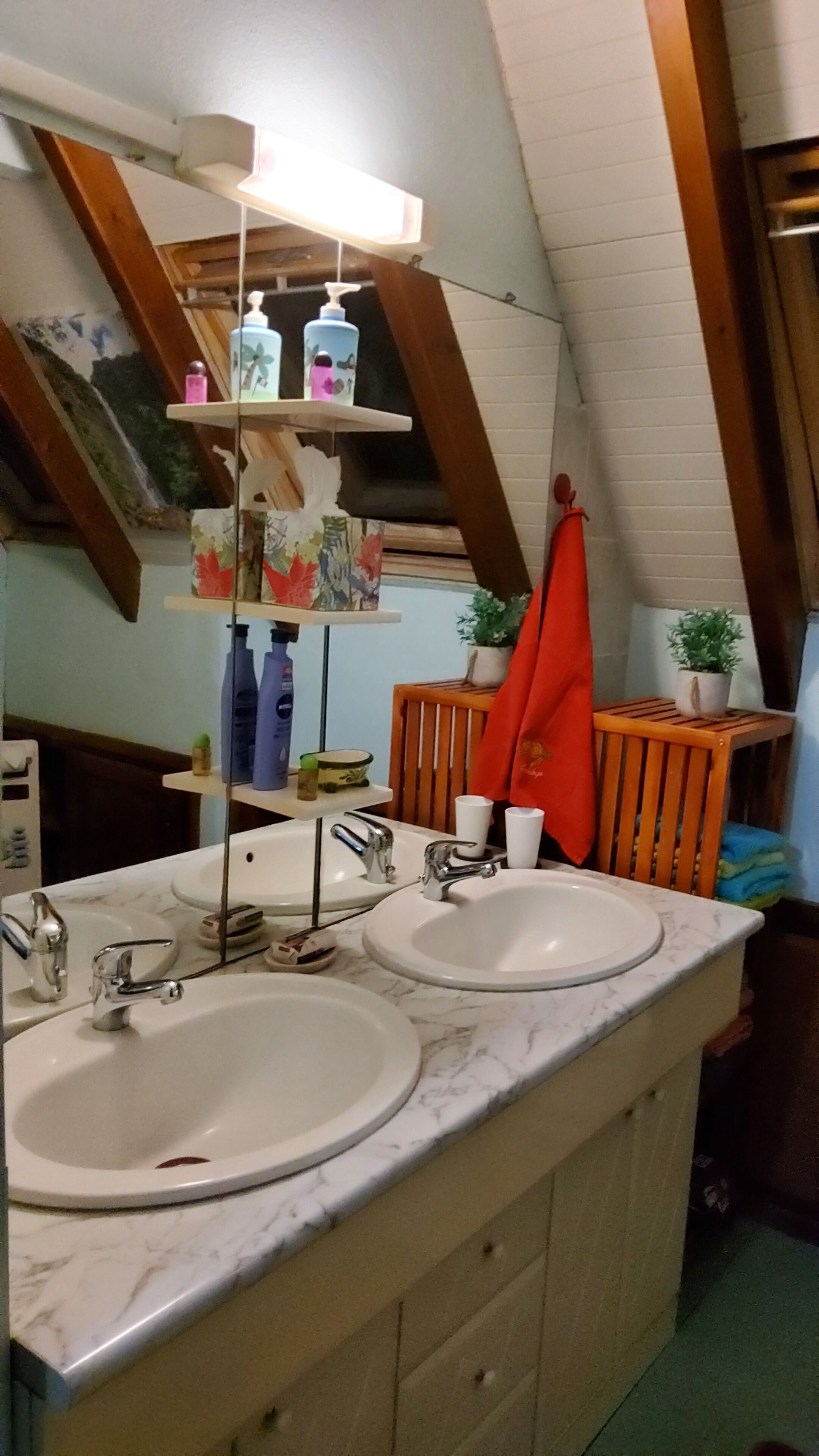 A bathroom with two sinks, a mirror, and a shelf with toiletries.