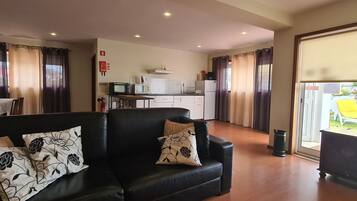 TV, fireplace, books