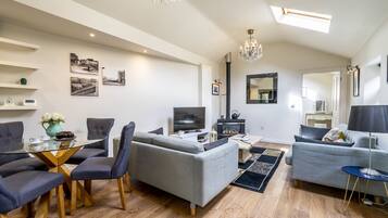 電視、DVD 播放機