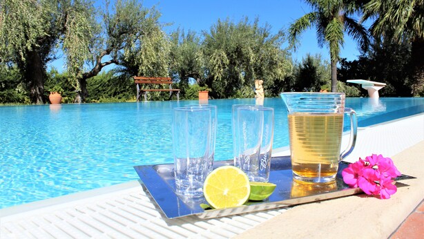 Ambiente à beira da piscina com água azul cristalina, uma bandeja com copos, um jarro de líquido amarelo, uma fatia de limão e flores cor-de-rosa.