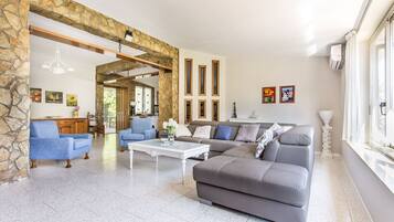 Una Smart TV, una chimenea, un reproductor de DVD, libros