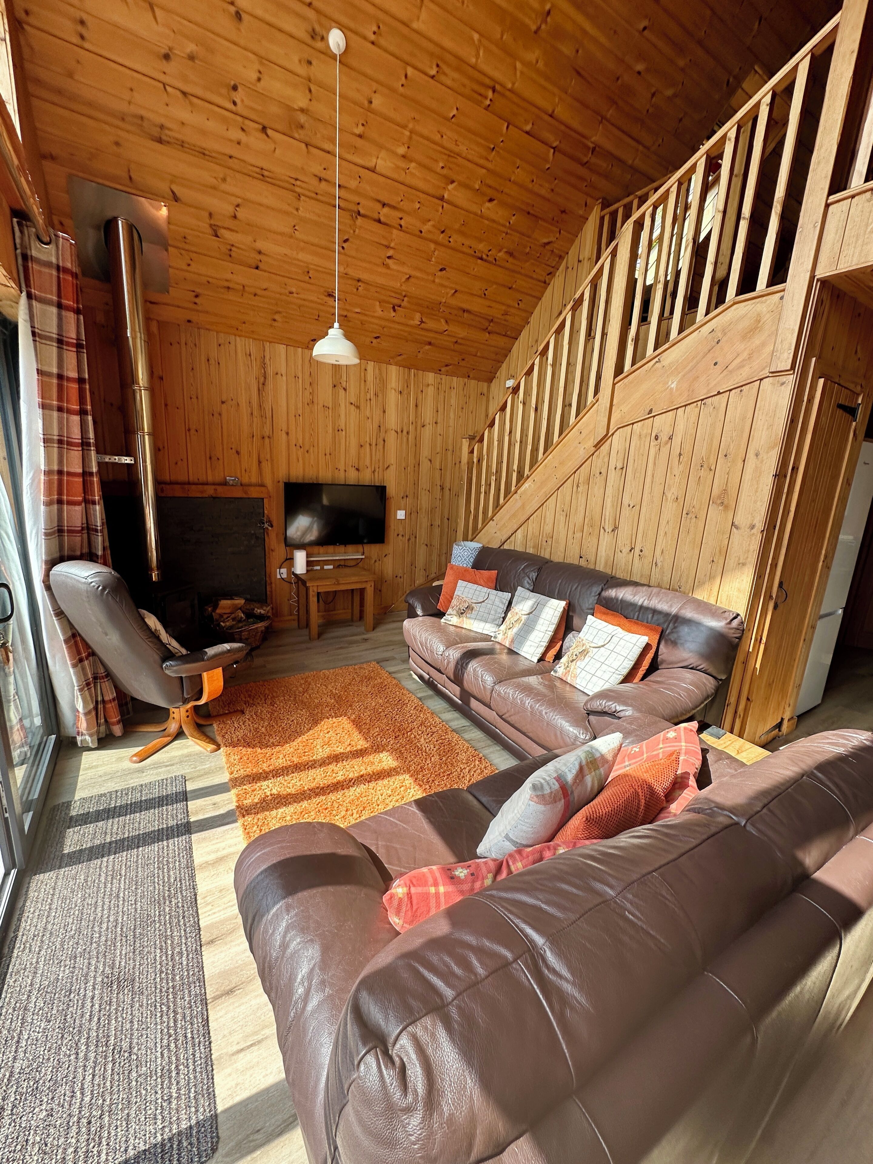 TV, fireplace, books