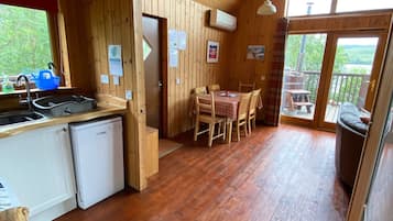 TV, fireplace, books