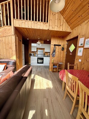 TV, fireplace, books - Lochside Lodge with Hot Tub on the shore of Loch Awe (Dalavich)