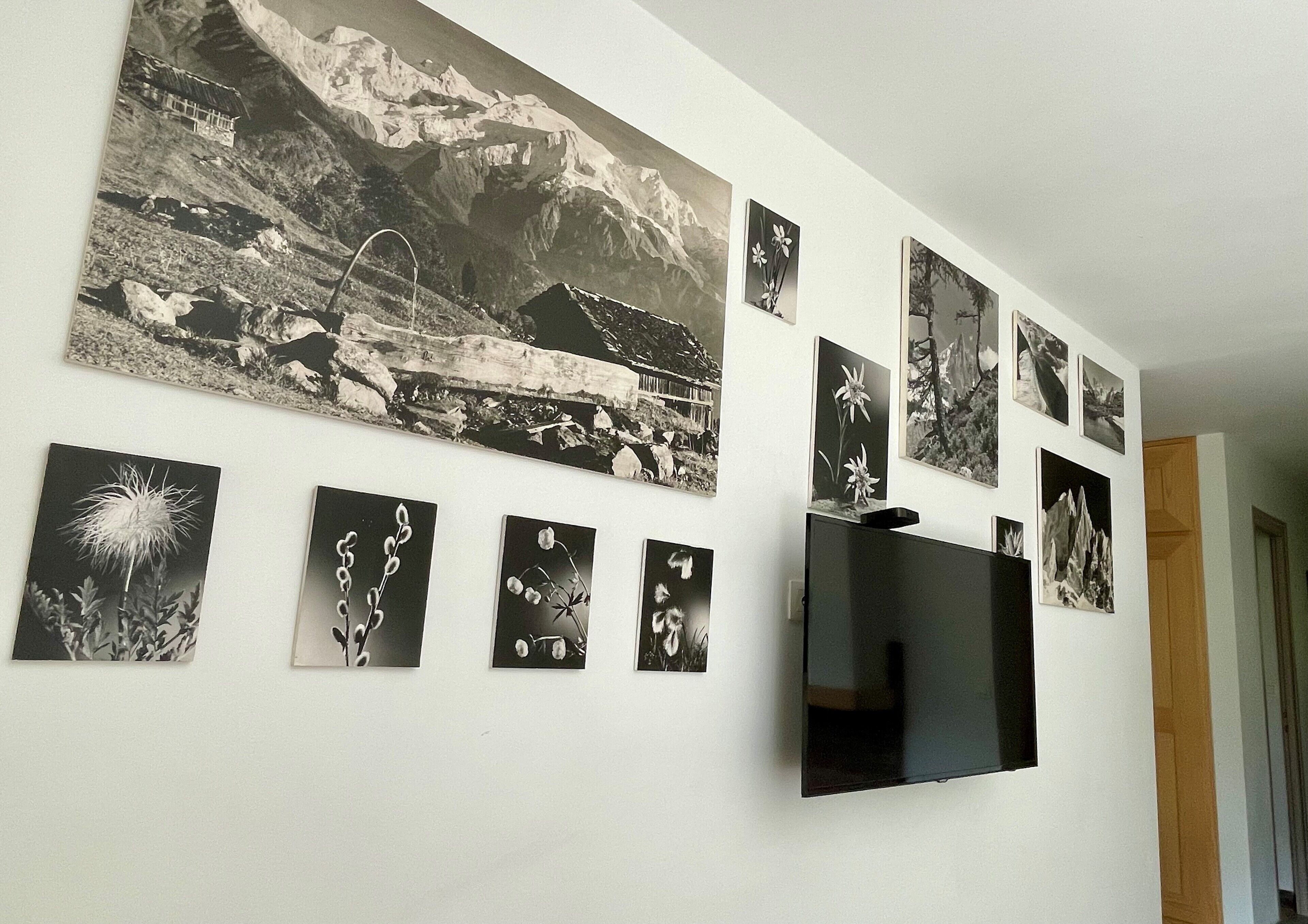 A wall with various black and white photographs of landscapes and flowers.