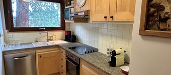 Spacious apartment up to 7 people facing the Mont Blanc massif