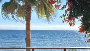 A palm tree and red flowers in front of a clear blue sea. - Mi CAPRICHO 9A BEACHFRONT:Apartment with sea view (Mijas)