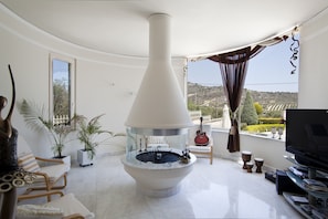 TV, fireplace, video games, DVD player