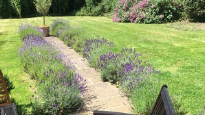 Un giardino con un vialetto in pietra, piante di lavanda e una panchina di legno.