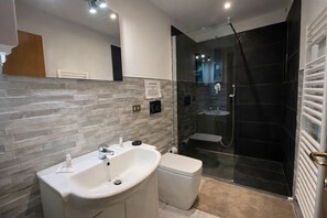 Combined shower/tub, hair dryer, bidet, towels