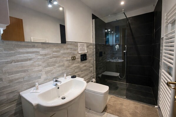 Combined shower/bathtub, hair dryer, bidet, towels