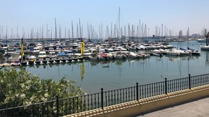 Un puerto deportivo con numerosas embarcaciones amarradas, cielo despejado y un paseo marítimo con barandilla.