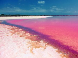 A beach with pink and white sand. - Ideal for Families, Couples or Friends - apartment with pool, near beach (Alicane)