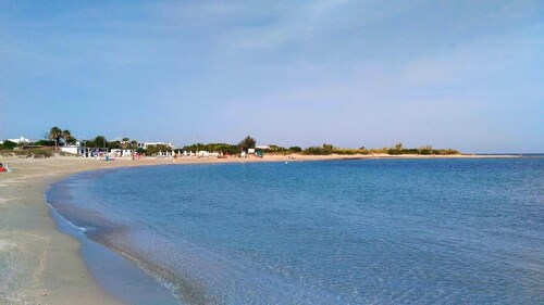 Apulian cottage at - 4 km from the beach the Oasis of Torre Guaceto -      