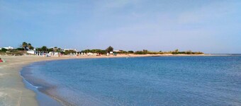 Apulian cottage at - 4 km from the beach the Oasis of Torre Guaceto -      