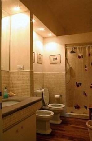 Bathtub, hair dryer, bidet, towels