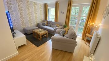 Smart TV, fireplace, DVD player, books