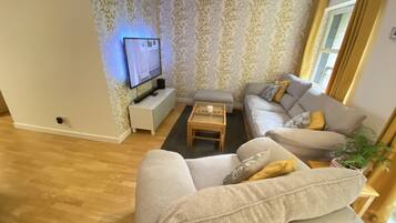 Smart TV, fireplace, DVD player, books