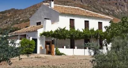 Large rural house in the center of Andalucia for 12 people with swimming pool and barbecue.