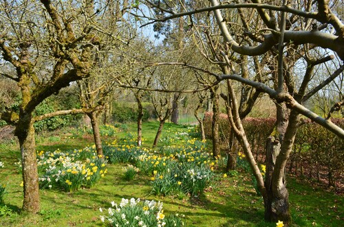 Gemütliches Loft Nr. Andover / Winchester / Salisbury mit Tennisplatz- und Spa-Behandlungen