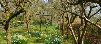 Quirky Loft Nr Andover/Winchester/Salisbury with Tennis Court & Spa Treatments