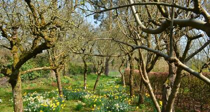 Gemütliches Loft Nr. Andover / Winchester / Salisbury mit Tennisplatz- und Spa-Behandlungen