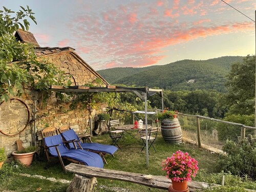Farmhouse 15th century in Chianti with garden between Florence and Siena